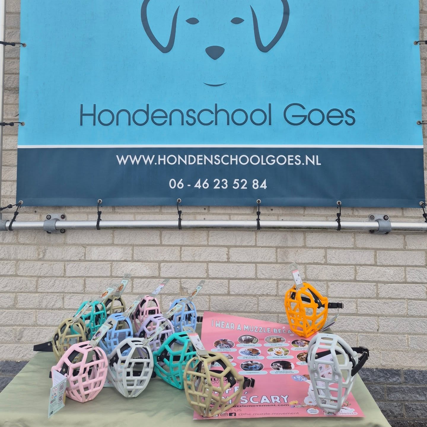 Ben jij een professional op het gebied van honden? Ben jij trainer, heb jij een hondenschool, ben jij een fysiotherapeut of dierenarts? En wil jij voor jouw klanten een passessie op locatie organiseren?
Dat kan! Stuur mij een berichtje en we kijken samen naar de mogelijkheden. 😊